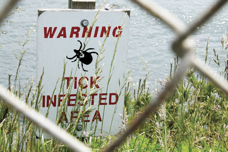 Students Invited to Enter Lyme Disease Prevention Art Contest