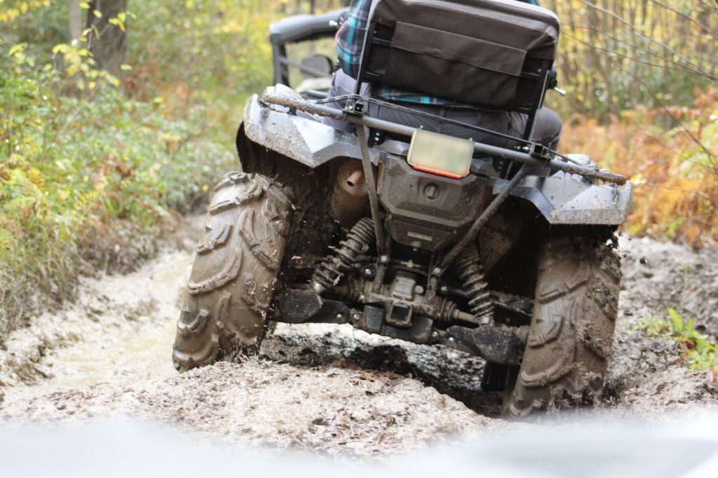 THINGS TO DO: Art, trail rides and music