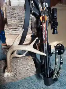 Legislation allowing crossbows throughout NY archery season awaits gov ...