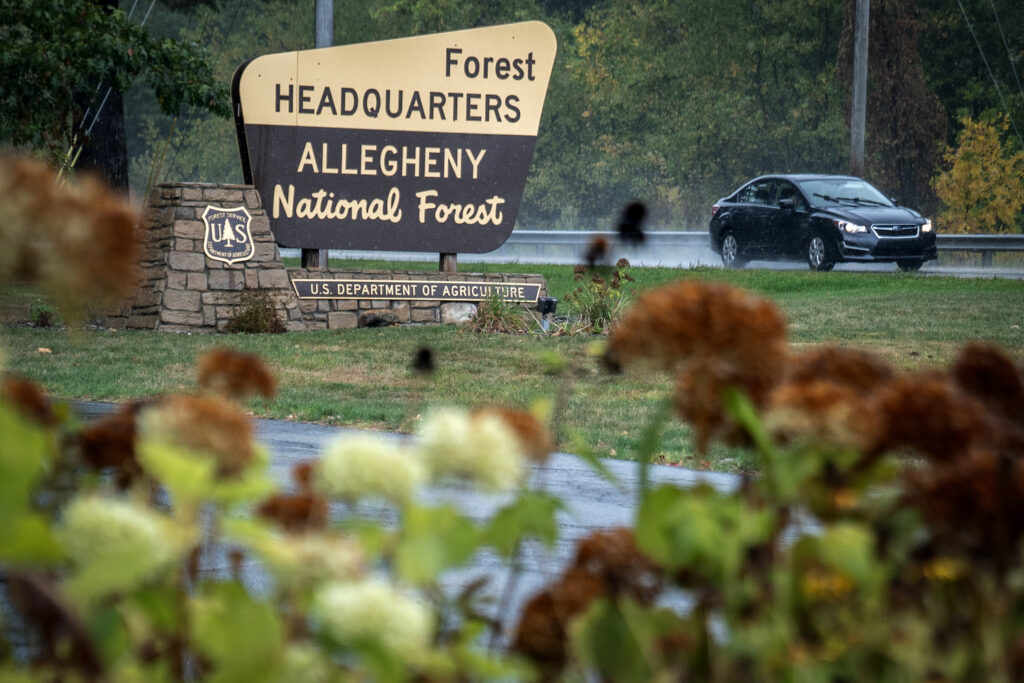 Public comment opens on proposed Roadless Rule repeal - The Bradford Era