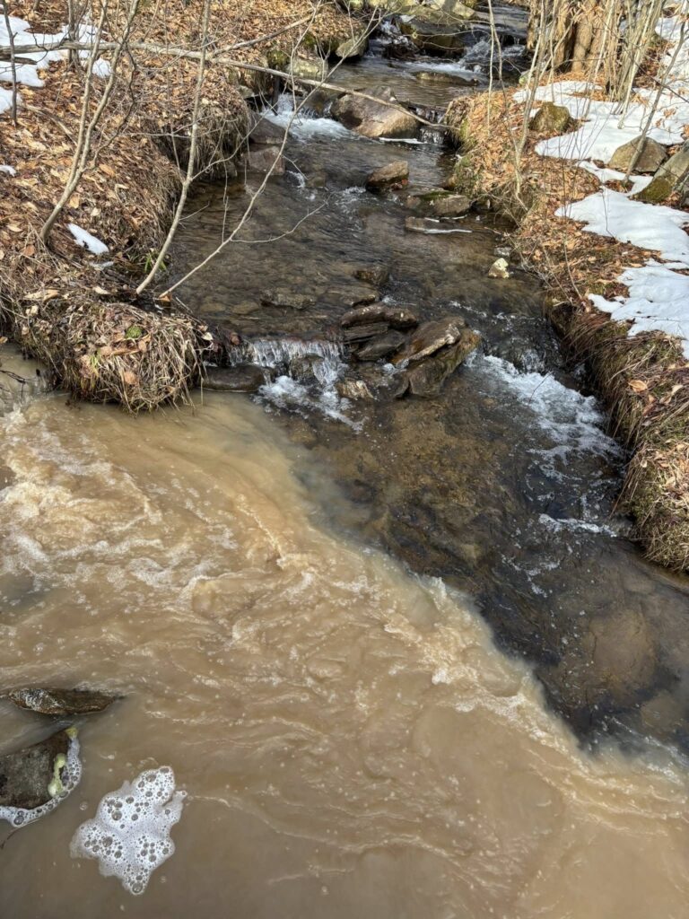 Woman injured in Route 219 crash - The Bradford Era