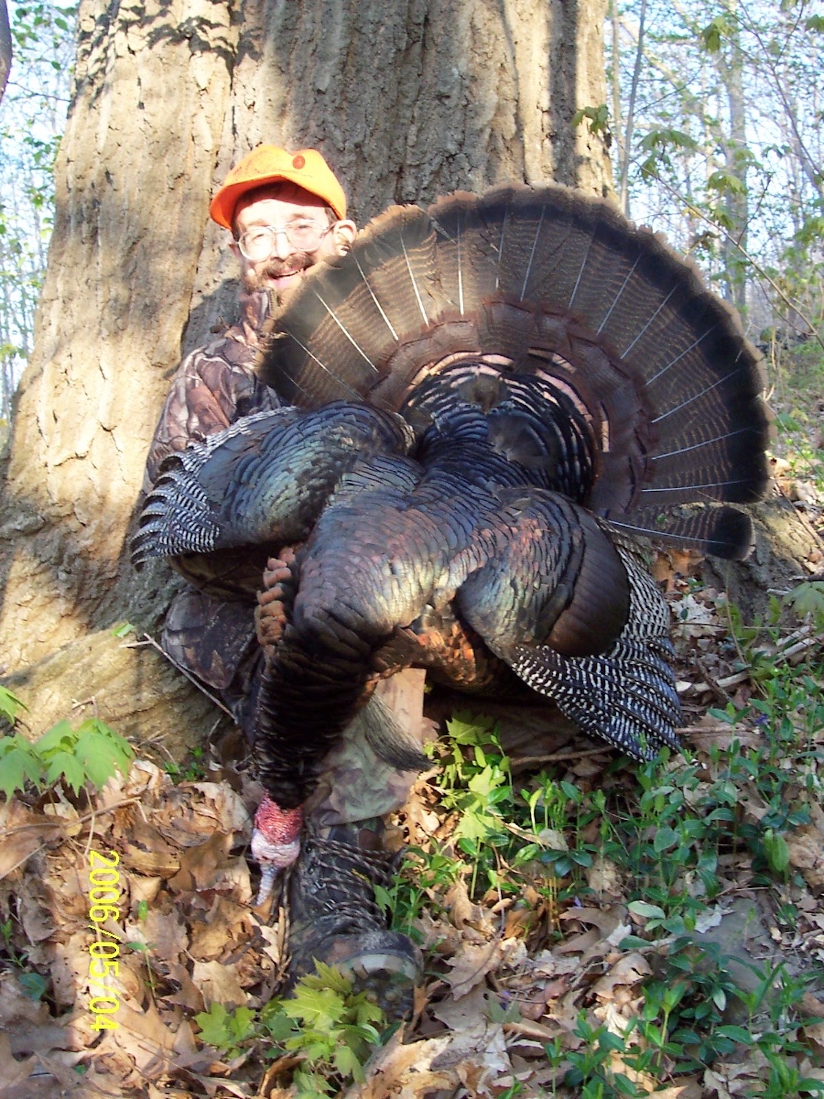 Outdoors: Perseverance pays off in the spring gobbler woods