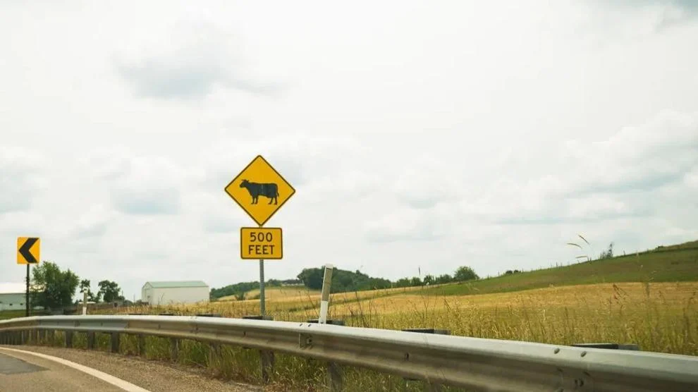 Farmland prime for data centers, but at what cost? - The Bradford Era