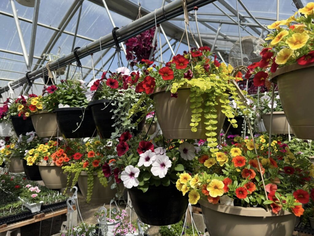 Otto-Eldred showcases FFA work during Agstravaganza