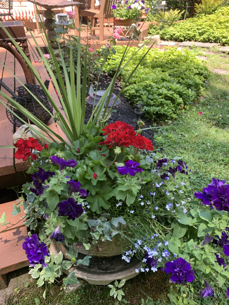 Start your garden year with a plan