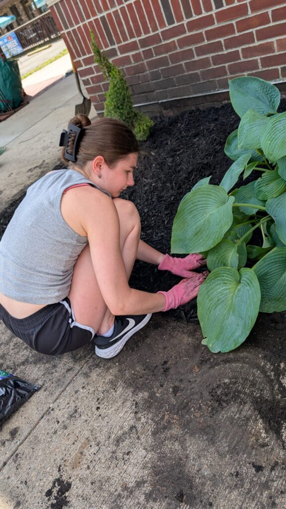Cameron County Cares Projects Planned