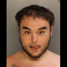 Man Charged Witnesses Report Gun Threat