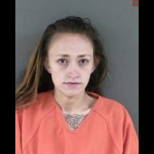 Bradford Woman Sentenced Drug Financial Crimes
