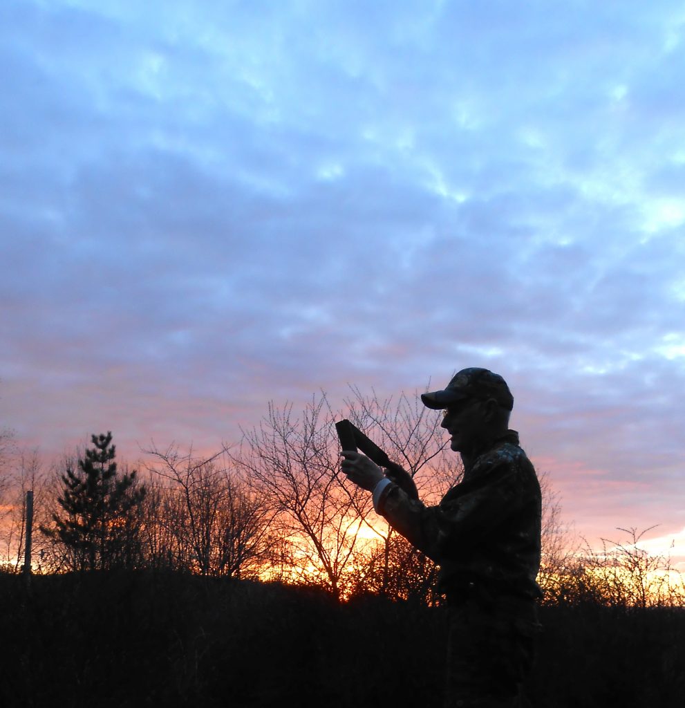 Outdoors: The glories of summer - The Bradford Era