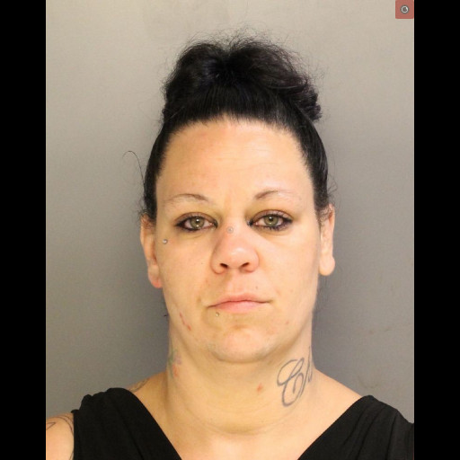 Mckean County Drug Task Force Arrests Woman Drug Crimes