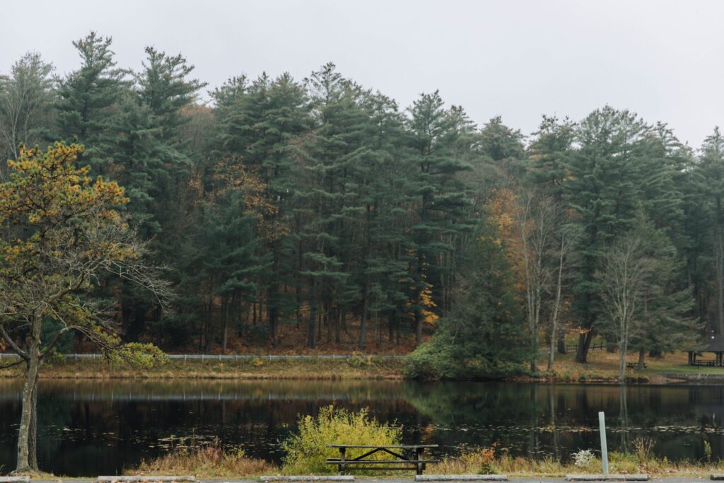 Millions State Lands Redirected Rural Pennsylvania Help Make Tax Exempt Property