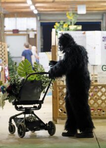 F gorilla
