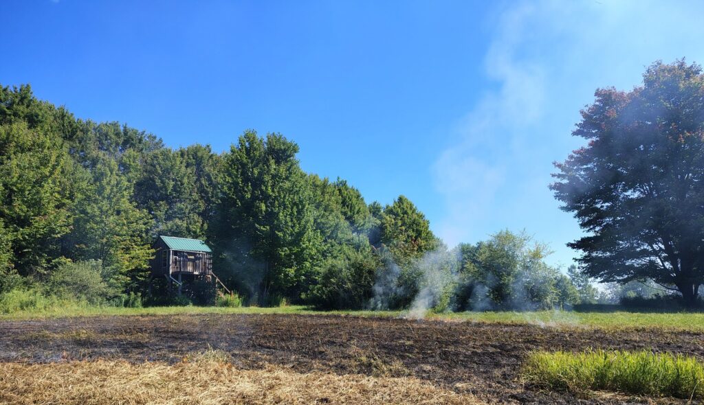 OUTDOORS: Controlled burning cuts weeds, boosts food plot growth - The Bradford Era