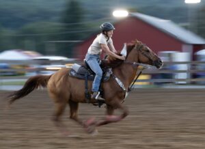 fh horse games 1