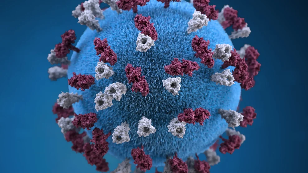 Report: Lancaster Co. coroner announces measles death