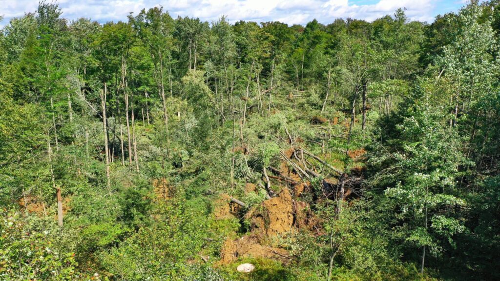 Tornado confirmed in Cyclone area - The Bradford Era