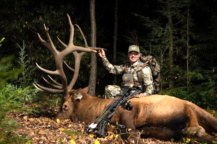Persistent archery hunter takes massive Pa. elk