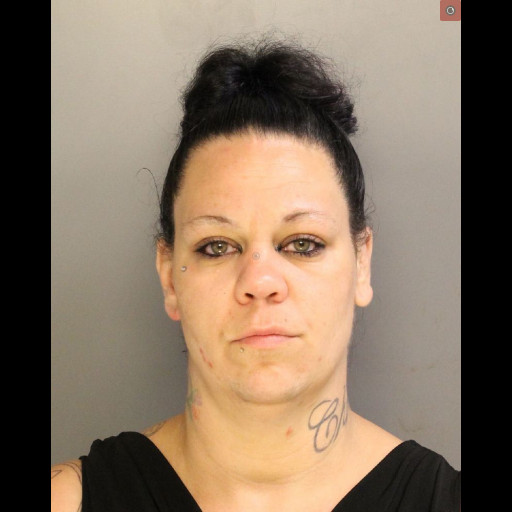 Woman pleads guilty to delivering methamphetamine