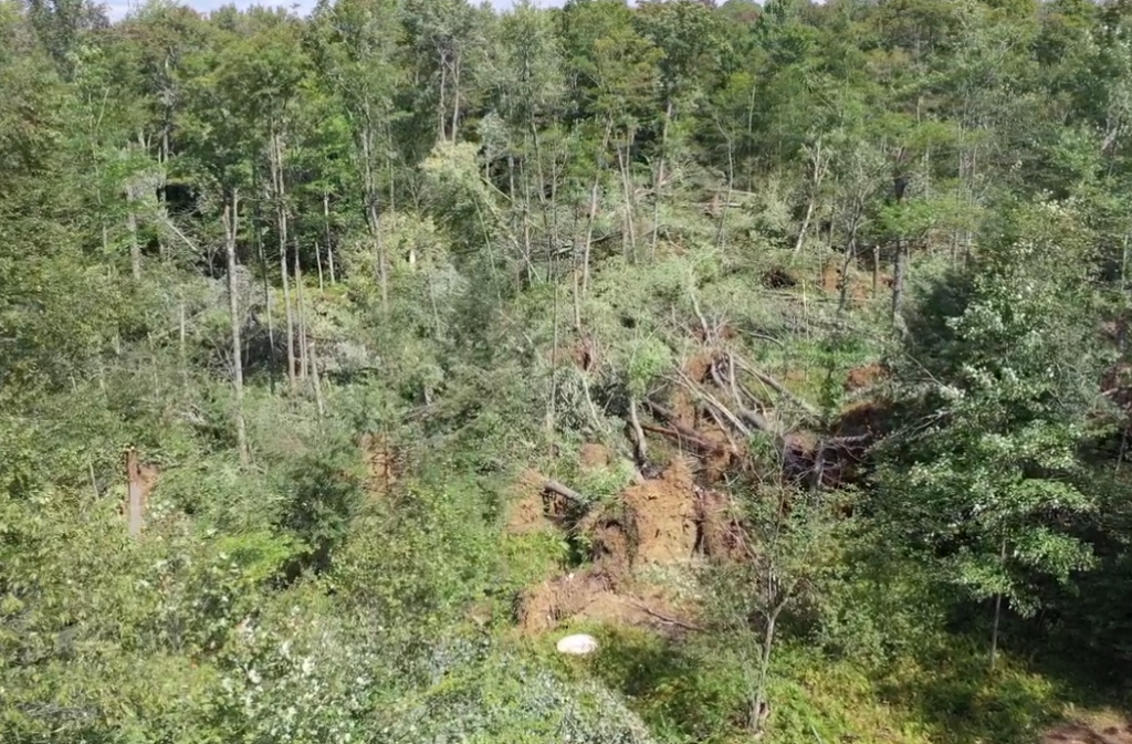 NWS considering survey of possible tornado damage near Cyclone - The Bradford Era
