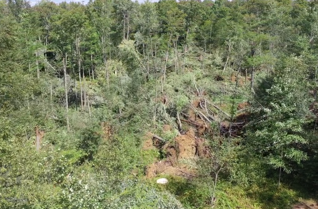 NWS considering survey of possible tornado damage near Cyclone